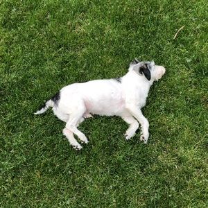 Meet your Posher, Matt